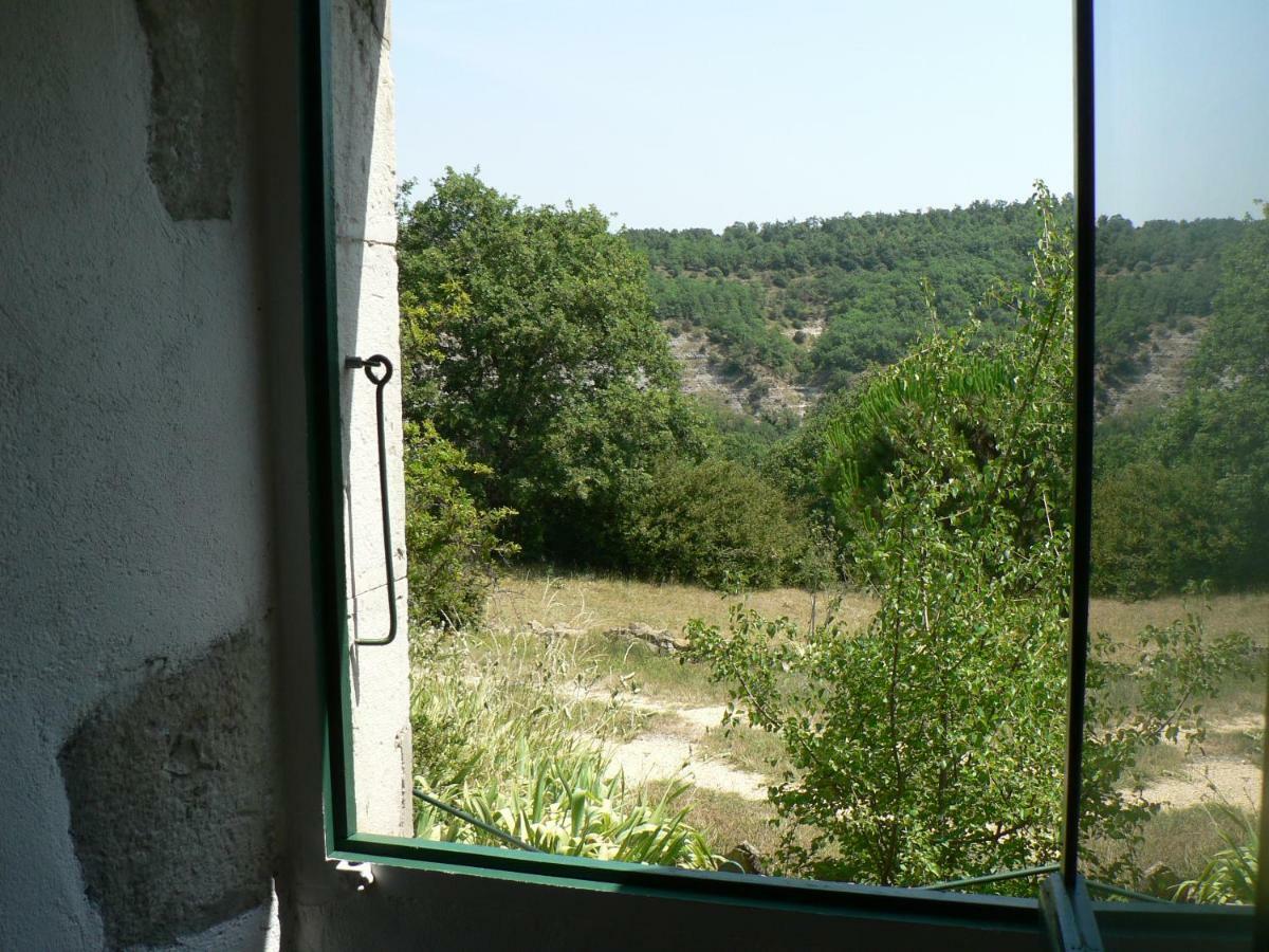 Saint-Maurice-dʼIbieLe Relais De Vazeille住宿加早餐旅馆 外观 照片